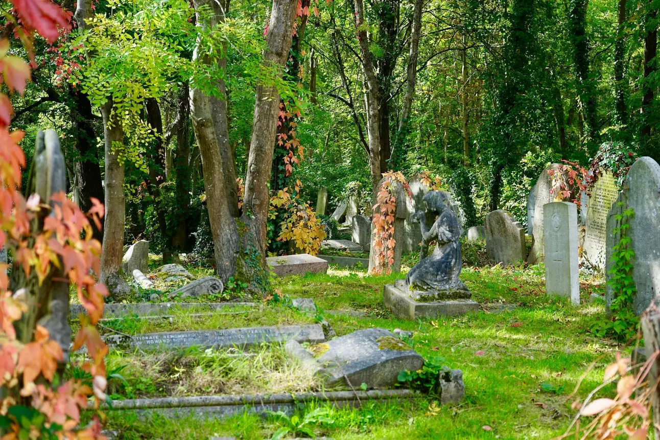 The Difference a Funeral Celebrant Can Make.