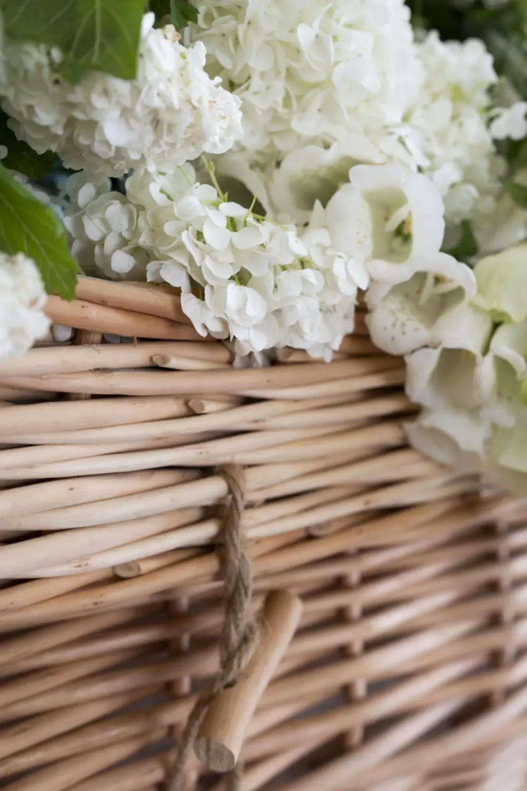 How do you want to go when you die? - Dying to plan.